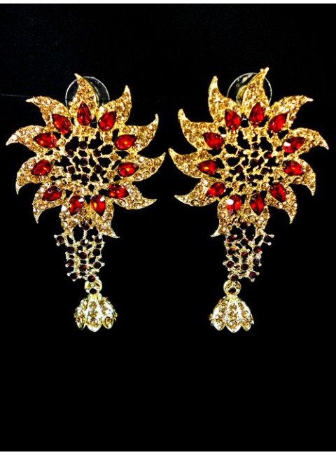 Fashion Earrings